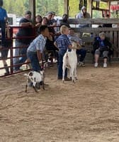 Marinette County Fair