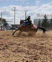 Marinette County Fair