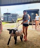Breckinridge County Fair