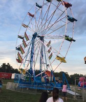 Daviess County Fair