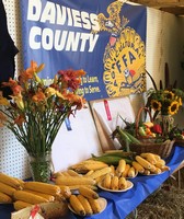 Daviess County Lions Club Fair