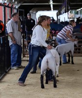 Waupaca County Fair