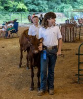 Henry County Fair