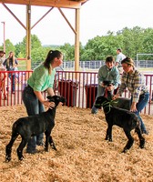 Lawrence County Fair