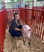 Lawrence County Fair