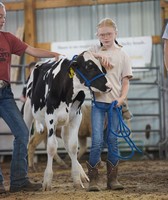 Marquette County Fair