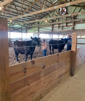 Nelson County Fair