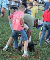 Pendleton County Youth Fair