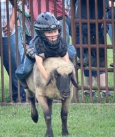 Pendleton County Youth Fair