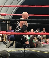 Taylor County Fair