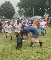 Woodford County Fair