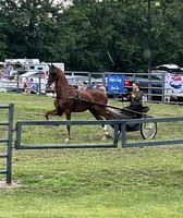 Woodford County Fair