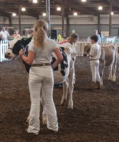 Baltimore County 4-H Fair