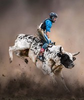 Redwood County Fair