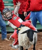 Redwood County Fair