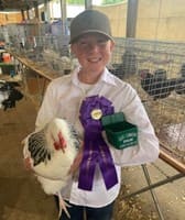 Sauk County Fair