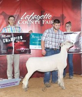 Lafayette County Fair