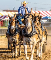 SEMO District Fair