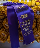 SEMO District Fair