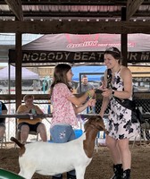 Jefferson County Fair