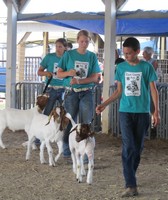 Clark County Fair