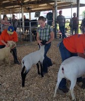 Dallas County Fair