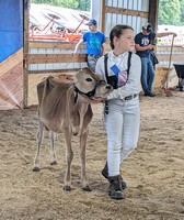 Trempealeau County Fair