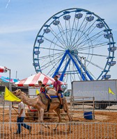 Ozark Empire Fair