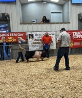 Laclede County Fair