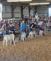 Lewis County Fair