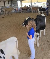 Lewis County Fair