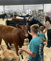 Livingston County 4H & FFA Fair