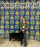 Monroe County Fair