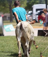 Waukesha County Fair