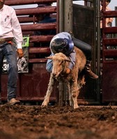 Putnam County Fair