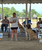 Randolph County Fair