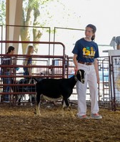 Randolph County Fair