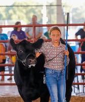 Randolph County Fair