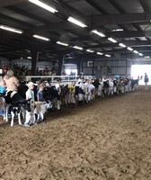 St. Croix County Fair