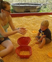 Eastern Michigan State Fair