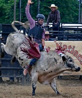 Eastern Michigan State Fair