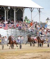 Fowlerville Family Fair