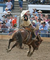 Eastern Montana Fair
