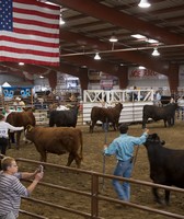 Eastern Montana Fair