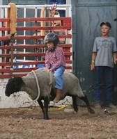 Central Montana Fair
