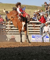 Central Montana Fair