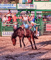Northwest Montana Fair