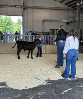 Fond du Lac County Fair