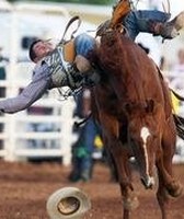Northeast Montana Fair