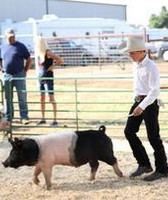 Northeast Montana Fair